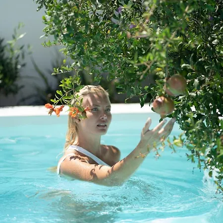 Bliss Mansion With Sunset View & Swimming Pool Вилла *